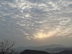 -香雪海