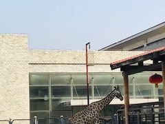 -石家庄市动物园