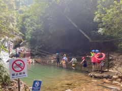-南海湾森林生态园