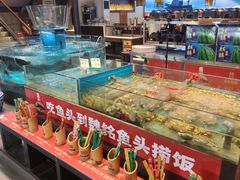 -魏铭鱼头捞饭(晋阳路店)