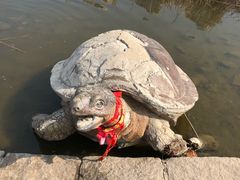 -前关湿地公园