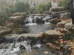 -习家池