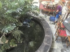 -燕北云山·农家菜·灶台鱼(密云溪翁庄店)