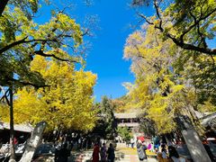 -潭柘寺景区