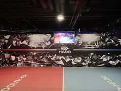 -VS SPORTS PARK运动玩乐园·团建·生日会(合生汇店)