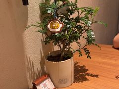 -CURRY YA 熟成咖哩專門店(深圳湾万象城店)