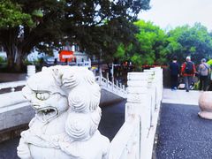 -巢湖姥山岛