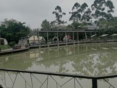 -三圣花乡旅游区