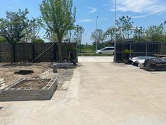 -南汇新场正宗水蜜桃采摘