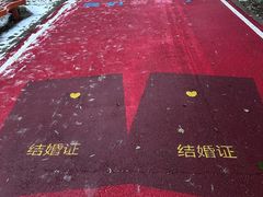 -黛秀湖公园