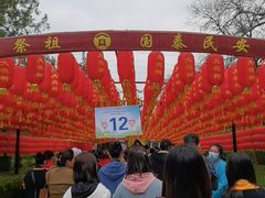 -大槐树寻根祭祖园