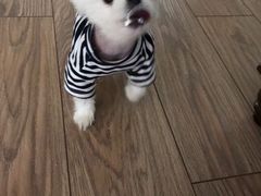 -星巴克(天津鲁能中心第三店)