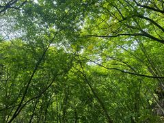 -苍岩山风景名胜区