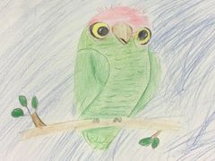 -东方童画少儿美术(莘庄体验馆)