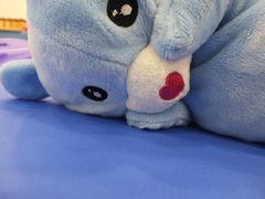 -抱抱熊托育中心(大悦城店)