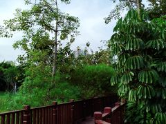 -福田红树林生态公园