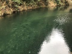 -雁荡山风景名胜区-小龙湫