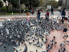 -加泰罗尼亚广场