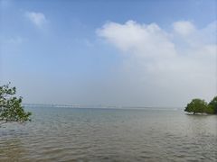 -宝安西湾红树林湿地公园