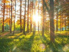 -贵阳市花溪国家城市湿地公园