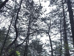 -安徽天堂寨风景区