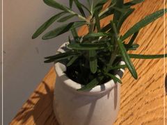 -La Strada(安福路店)