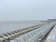 -南汇嘴观海公园