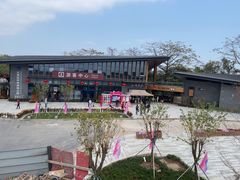 -大湾区中央湿地公园