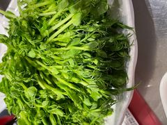 -古乐牛香鲜牛肉牛杂火锅(观前街店)