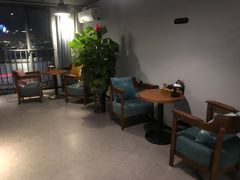 -梵猫·新养生(湛江鼎盛店)