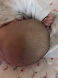 -上海小小宝婴儿理胎发胎毛笔