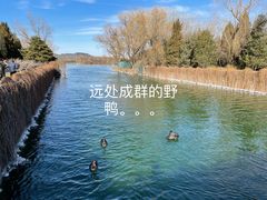 -颐和园