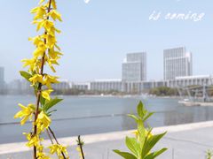 -尚贤河湿地