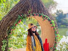 -徐岛主·特色农家乐(阳澄湖莲花岛店)