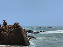 -青岛第二海水浴场