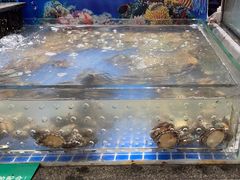 -亚马逊海鲜自助(梅溪湖步步高店)