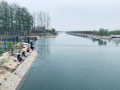 -马家湾湿地公园