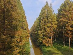 -黄海国家森林公园