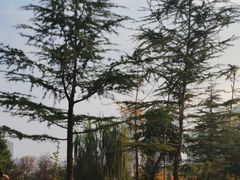 -塔子山公园