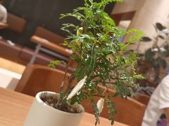 -CURRY YA 熟成咖哩專門店(深圳湾万象城店)