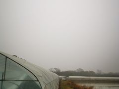 -武汉开心果园农业发展有限公司