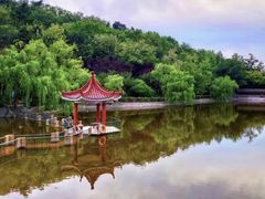 -北岭山森林公园