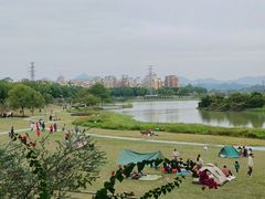 -风云岭森林公园