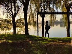 -艾溪湖湿地公园