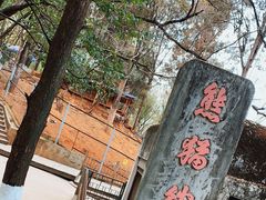 -昆明动物园