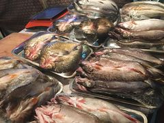 -新疆风味冷水鱼庄(友谊峰路店)