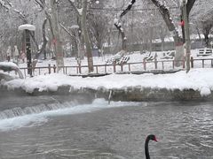 -水磨沟公园