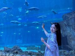 -华夏文旅西安度假区