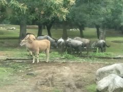 -西安秦岭野生动物园