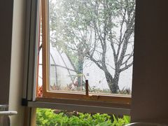 -中山大学附属第五医院